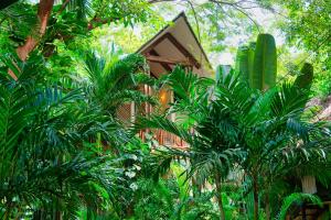 Masaya Tayrona & Beach Club