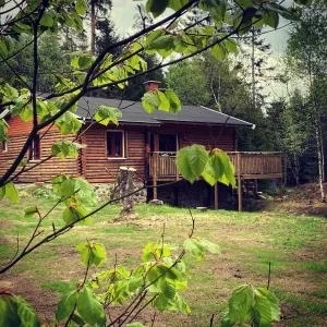 Nice log house near lake and forest in Vittsjö - Markaryd