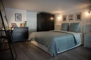 Le Passementier, T2 duplex grand volume parking souterrain wifi Netflix - Saint Etienne