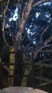 Villa Los Colibrí 11