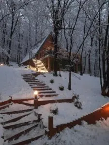 Silent woods Visoko - Kiseljak