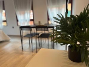 MyA Estudio Gandía Centro