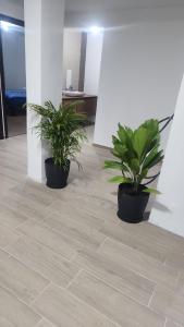 Comfortable and new apartment ideal for your visits