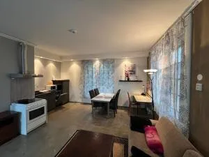 Moderne Studioleilighet - Skien Sentrum - Ulefoss