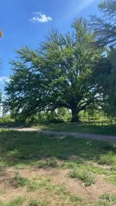 Finca Macalicia - Monte Comán