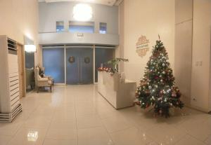 Holland Park Condominium Accommodation Southwoods Biñan Laguna- Max 4 Persons including kids & toddlers