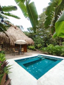 Colibri Parque Tayrona Dentro del Parque Nacional Tayrona