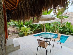 Colibri Parque Tayrona Dentro del Parque Nacional Tayrona