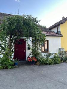 Lillys Appartement 3 in 3430 Tulln