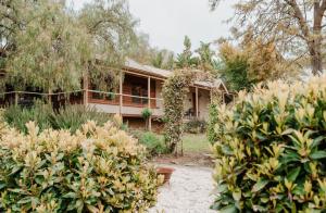 Cole-Brook New Cottage - McLaren Vale