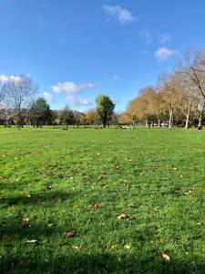 Stylish Georgian loft 3beds in London