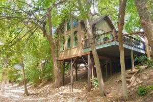 Treehouse 6 - Birdseye Perch - Third Crossing