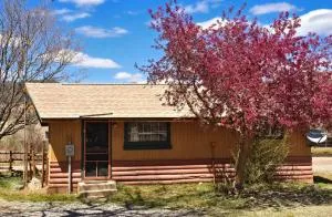 Cozy River Cabin 2 with Arkansas River View - Villa Grove