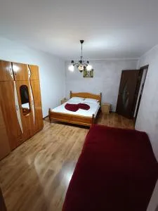 Apartament Nemira - Szlanikfürdő