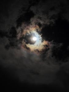 Happy Paradise Lodge