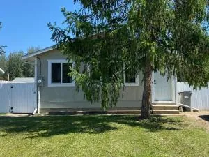 Cottonwood and Puppies - Tetsa River