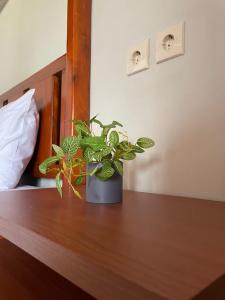 Fetung Bayan Homestay