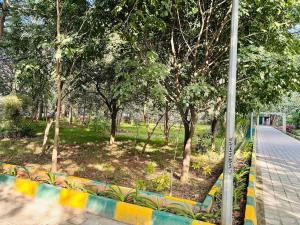 1 BHK Next to the Beautiful Park - 302
