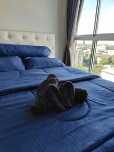 Cozy Apartment Night Market and Shopping Mall at MRT Purple Line