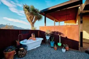 Sacred Sands - Lobo Luna - Joshua Tree