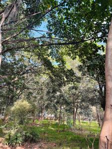 2 BHK Next to the Beautiful Park - 301