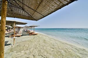 Golden Beach Hotel & Apartments Tinos Greece