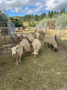 Two bedrooms Escape to Countryside Retreat