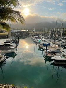 Absolutely Lovely Waterfront Apartment 333