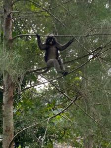 Garden View Resort Tonsai