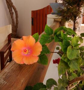 Chora Folegandros 840 11, Greece.