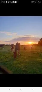 Grande maison au calme - Larçay