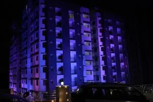 Confident Daffodils akuulam - Trippapur