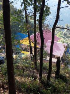 Jungle Crown Organic Homestay