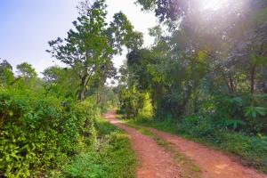 The Grand Retreat - Chikmagalur