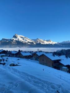 Appartements Chalet vue Mont Blanc avec jacuzzi exterieur : photos des chambres