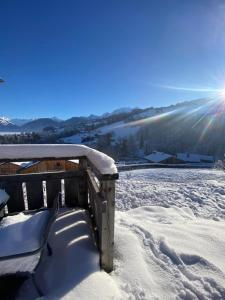 Appartements Chalet vue Mont Blanc avec jacuzzi exterieur : Appartement