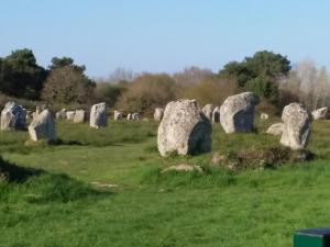 Appartements LA ROSE TREMIERE : photos des chambres