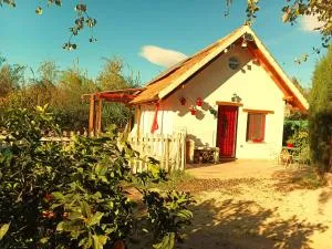 Casa de Campo en La Huerta de Murcia, con Piscina - Sangonera la Verde