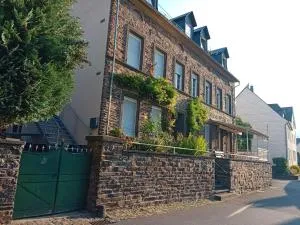 Villa Eisfeld - Briedern