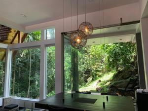 The Forests Last Stand - Galle