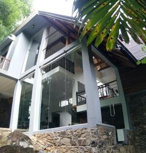 The Forests Last Stand - Galle