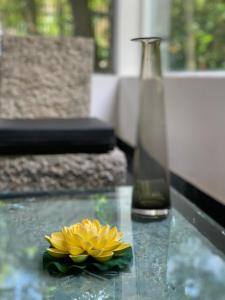 The Forests Last Stand - Galle