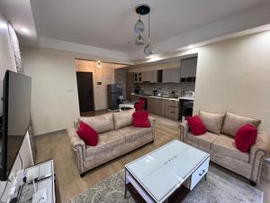 executive catchy one bedroom apartment with ample parking space heated swimming pool fully equipped gym and relaxing rooftop with city views