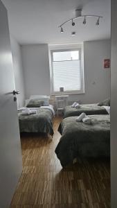 80 m2 moderne und zentrale Wohnung in Hannover mit eigenem Parkplatz
