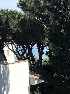 Beach apartment 2 terraces with parking