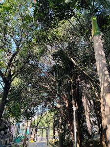 2 BHK Next to the Beautiful Park - 401