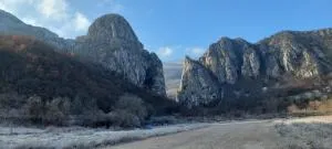 Golemi kamik Pirot Vlasi - Obrenovac