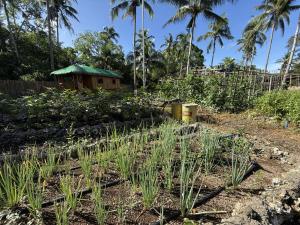 Shanti Farm Bamboo Cabin