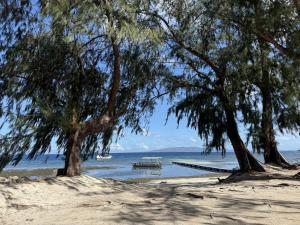 Shanti Farm Bamboo Cabin