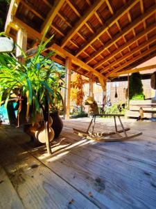 ZALASEK Gospodarstwo Agroturystyczne z Alpakami